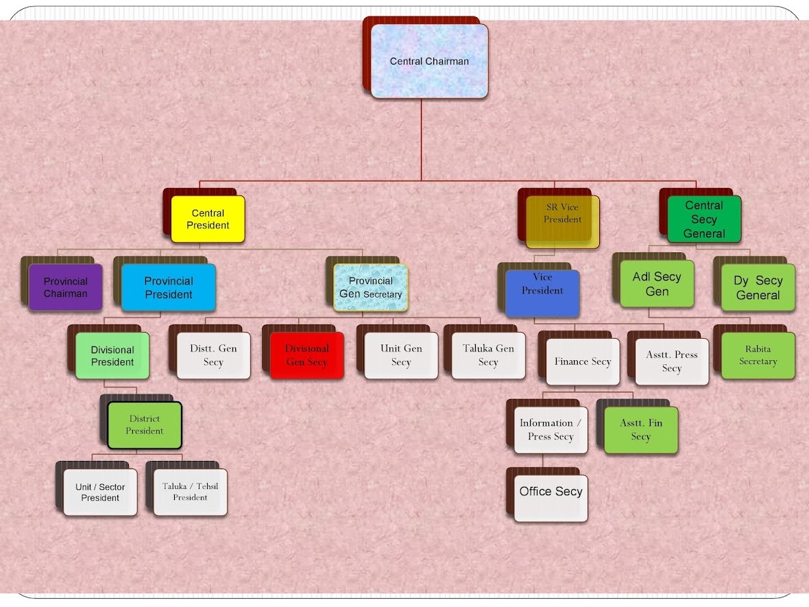An Organizational Chart